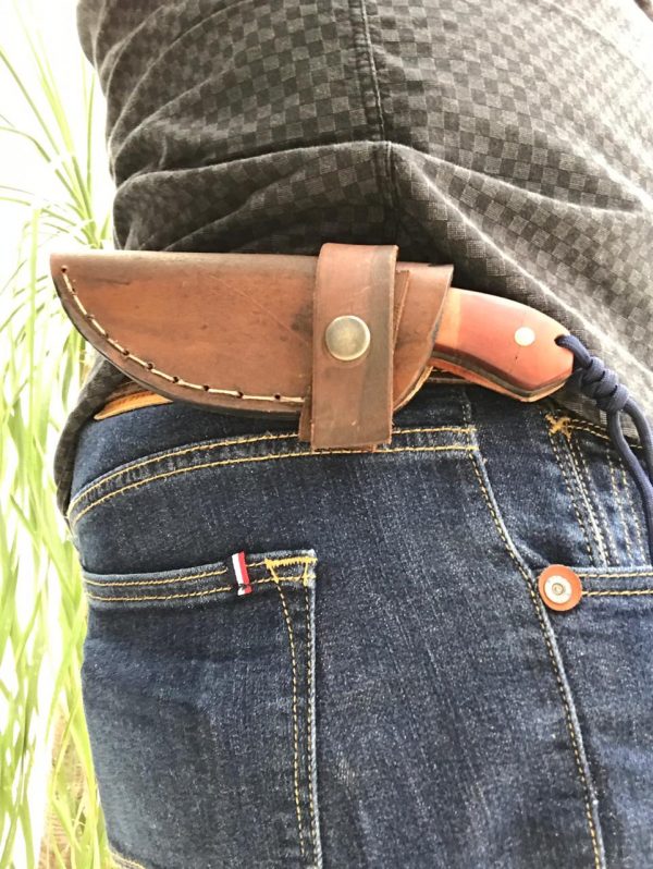 51d1ff49-738a-4bd2-997a-0eb43e173e58