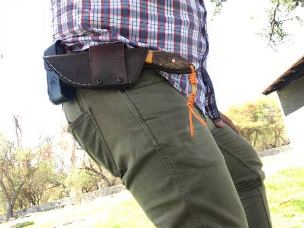 39351ae0-6b9f-4094-a82b-ef85ce73cb50