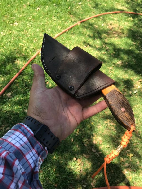 84266e5a-43cf-405f-91c6-c728ba795742