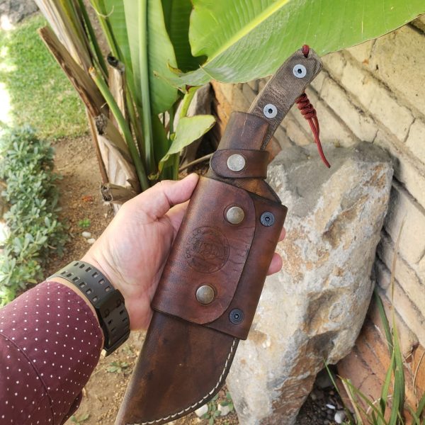 WhatsApp Image 2020-05-13 at 12.18.12 PM