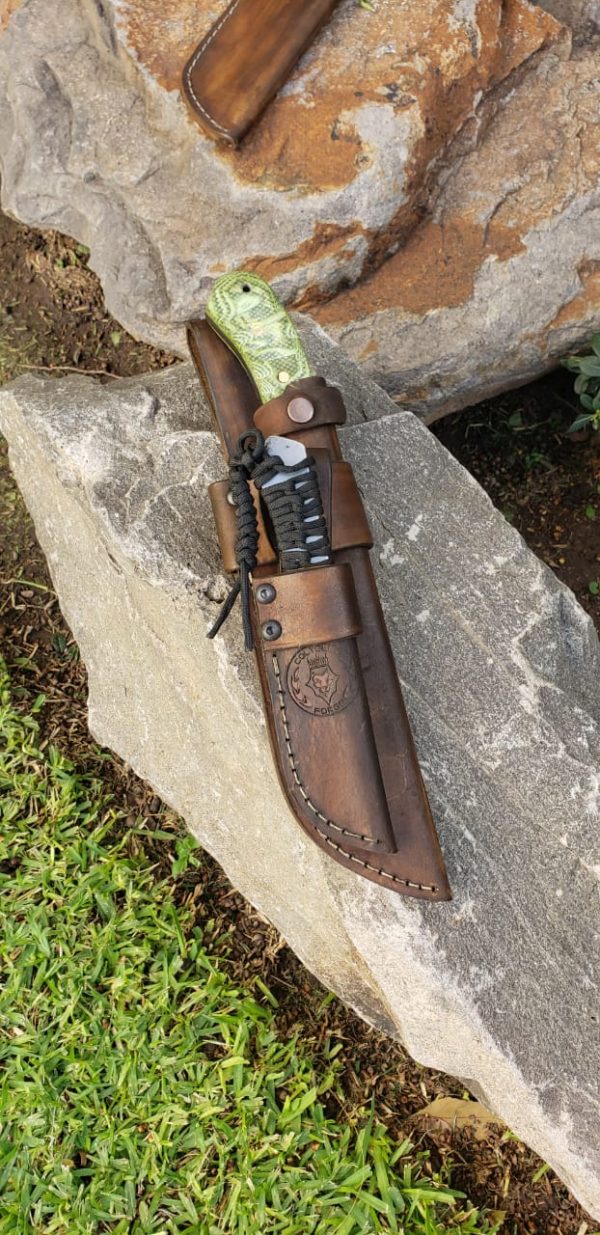 WhatsApp Image 2020-07-20 at 12.31.28 PM