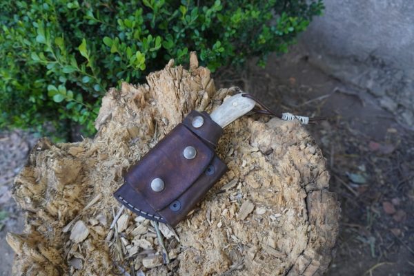 WhatsApp Image 2020-04-19 at 6.14.37 PM (1)