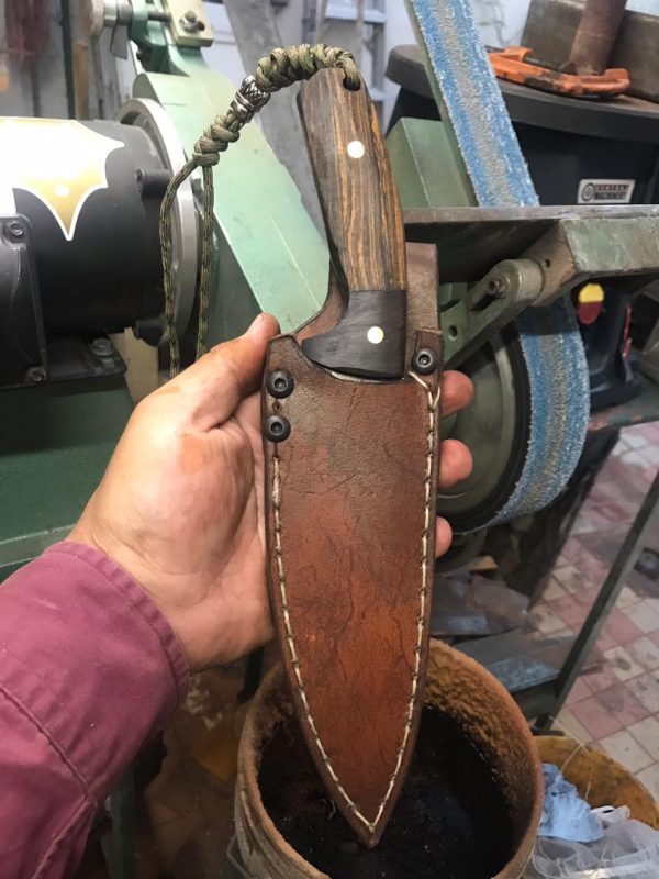 WhatsApp Image 2019-02-21 at 6.52.24 PM