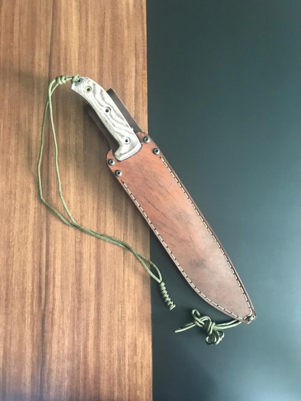 WhatsApp Image 2019-02-26 at 9.23.55 AM