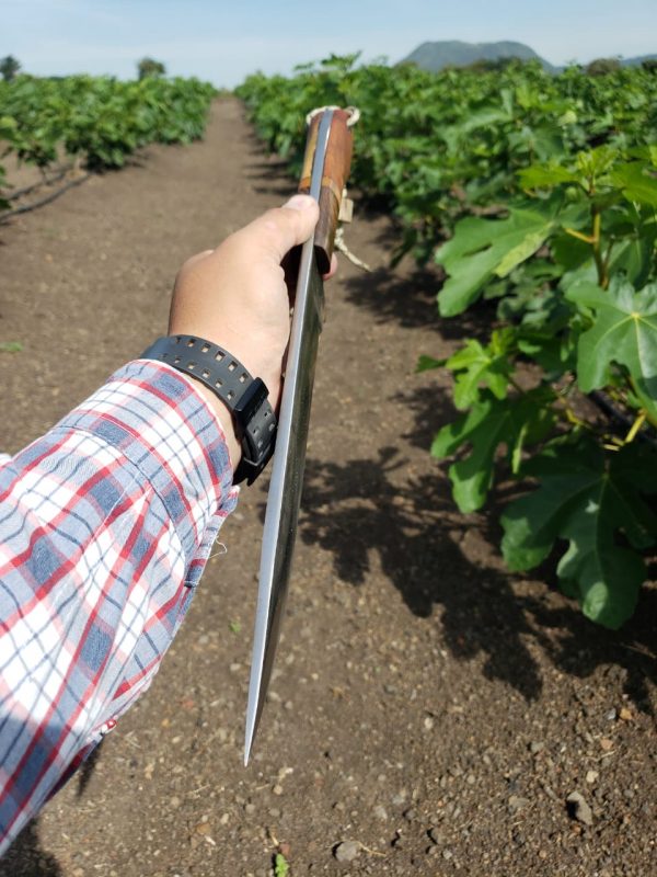 WhatsApp Image 2019-10-16 at 11.33.09 AM (1)