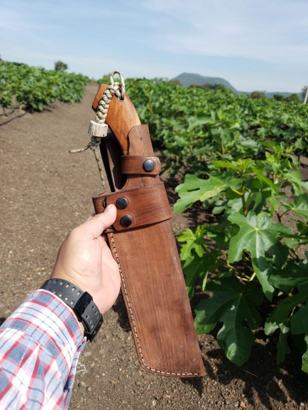 WhatsApp Image 2019-10-16 at 11.33.09 AM (3)