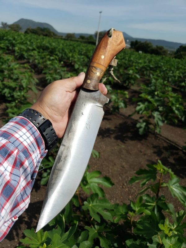 WhatsApp Image 2019-10-16 at 11.33.09 AM