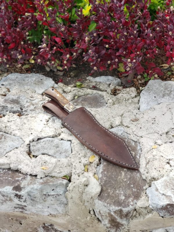 WhatsApp Image 2020-01-15 at 12.46.47 PM