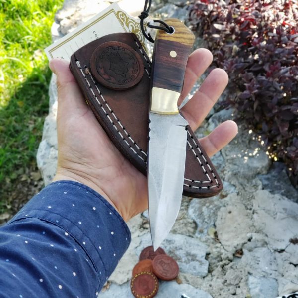 WhatsApp Image 2020-02-18 at 10.30.08 AM (2)