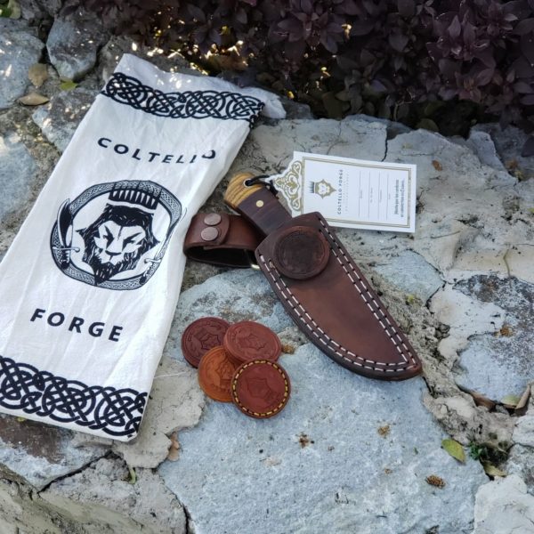 WhatsApp Image 2020-02-18 at 10.30.08 AM (3)