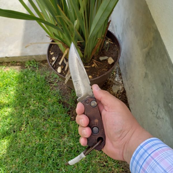 WhatsApp Image 2020-03-11 at 12.10.36 PM (3)