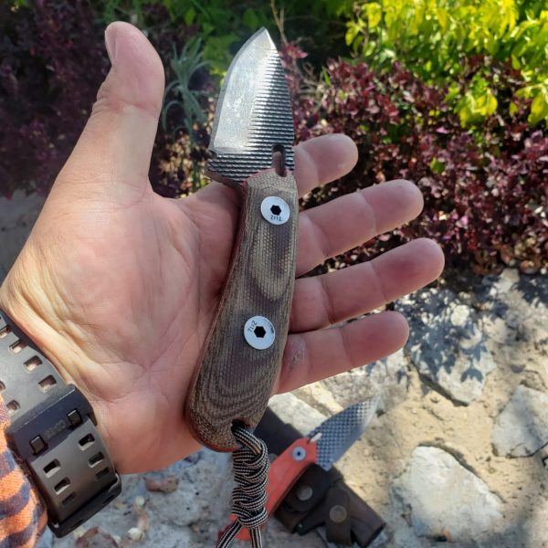 WhatsApp Image 2020-05-12 at 10.49.39 AM