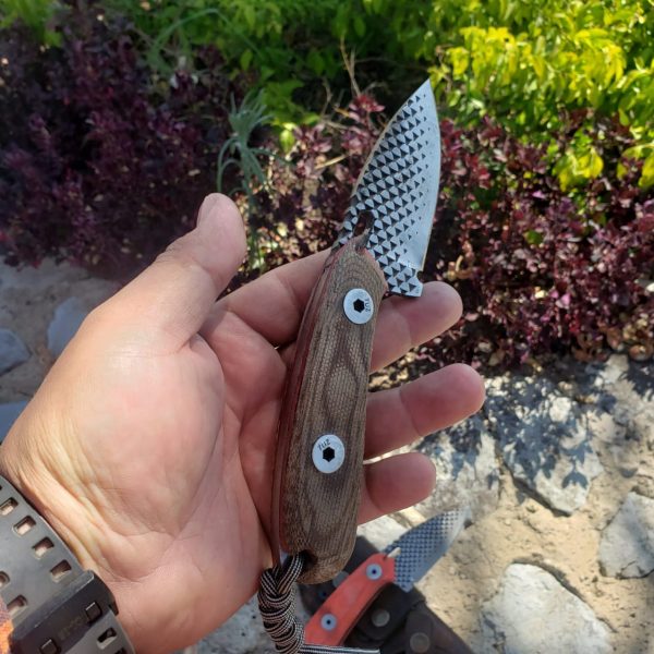 WhatsApp Image 2020-05-12 at 10.49.40 AM (4)