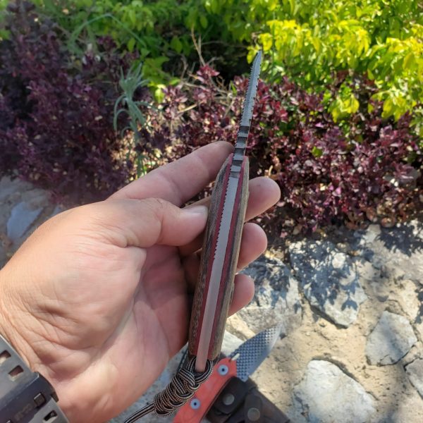 WhatsApp Image 2020-05-12 at 10.49.40 AM