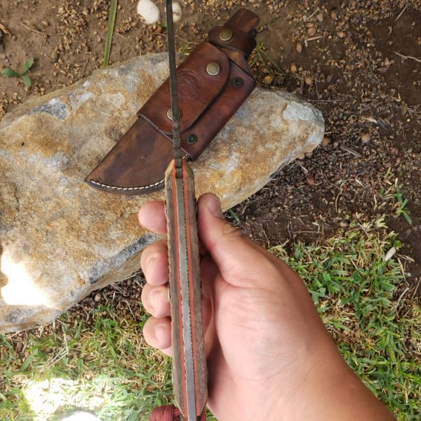 WhatsApp Image 2020-05-13 at 12.18.11 PM (1)