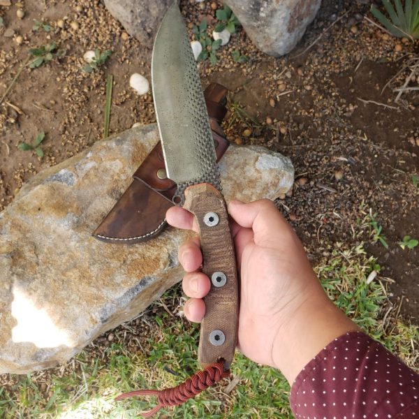 WhatsApp Image 2020-05-13 at 12.18.11 PM