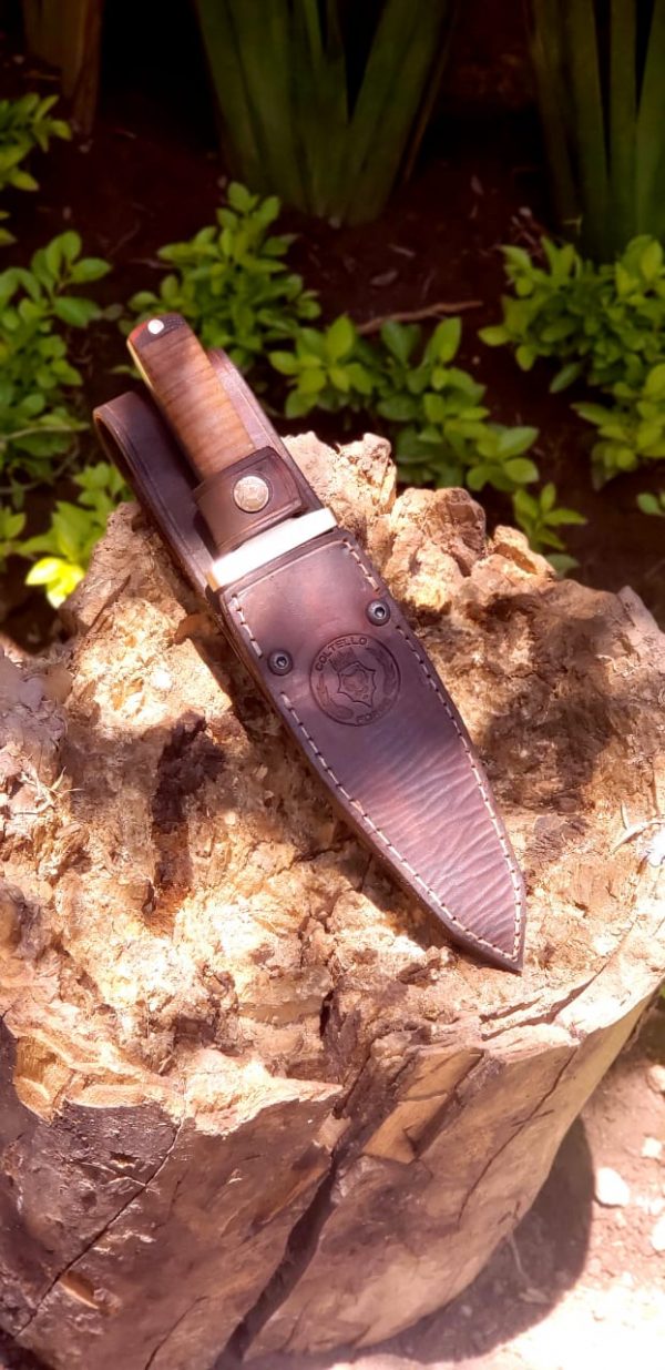 WhatsApp Image 2020-05-31 at 2.03.39 PM (3)