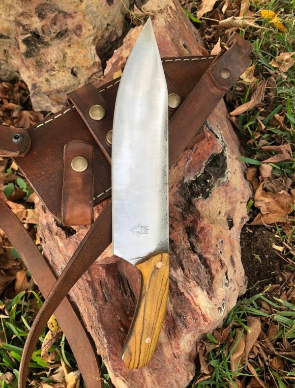 103283013_249249893190421_5370176807057492580_n