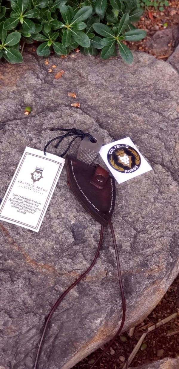 WhatsApp Image 2020-06-02 at 5.08.20 PM (1)