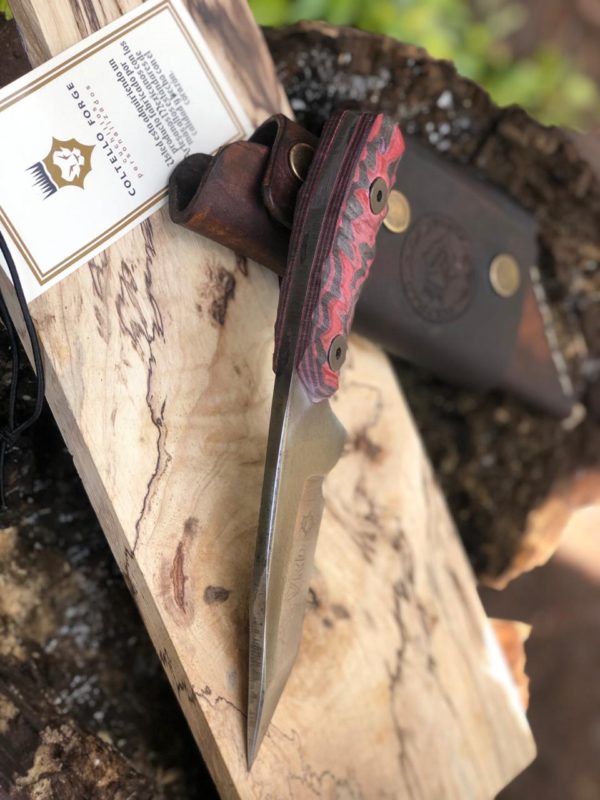 WhatsApp Image 2020-06-22 at 9.20.06 PM (1)