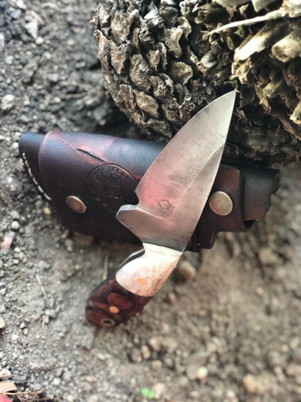 WhatsApp Image 2020-06-22 at 9.24.17 PM