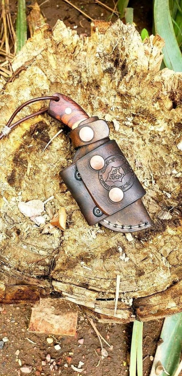 108981016_623382618289878_8562812900851664167_n