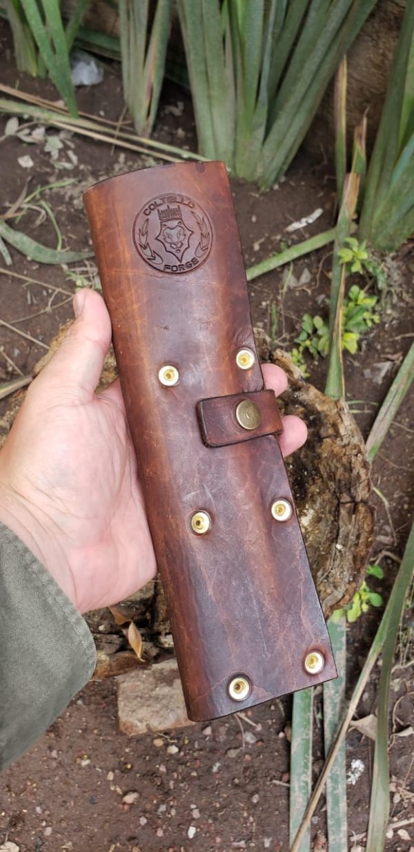 WhatsApp Image 2020-07-01 at 6.50.18 PM (1)