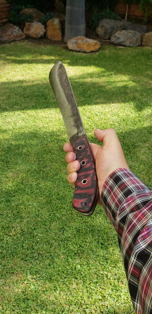 WhatsApp Image 2020-07-20 at 12.31.28 PM