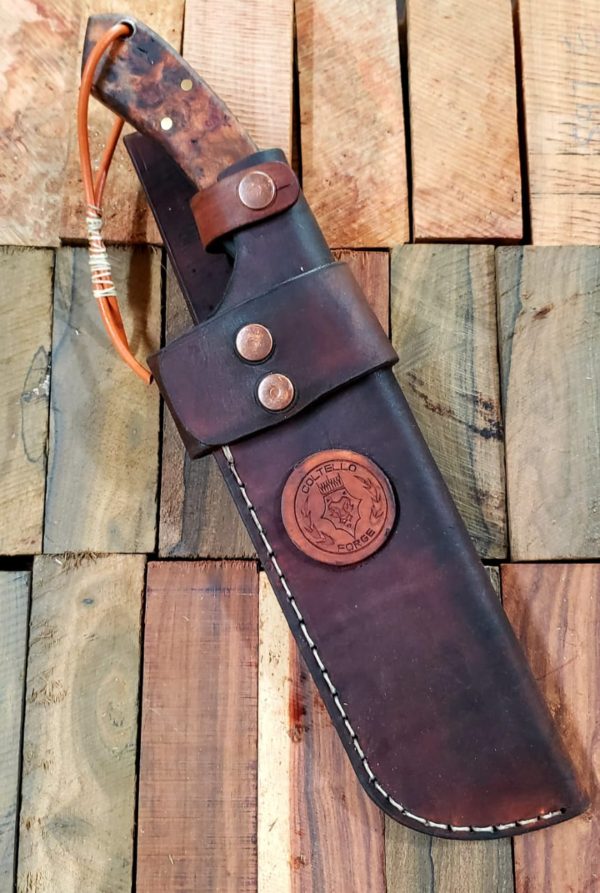 WhatsApp Image 2020-08-21 at 11.28.45 AM (3)