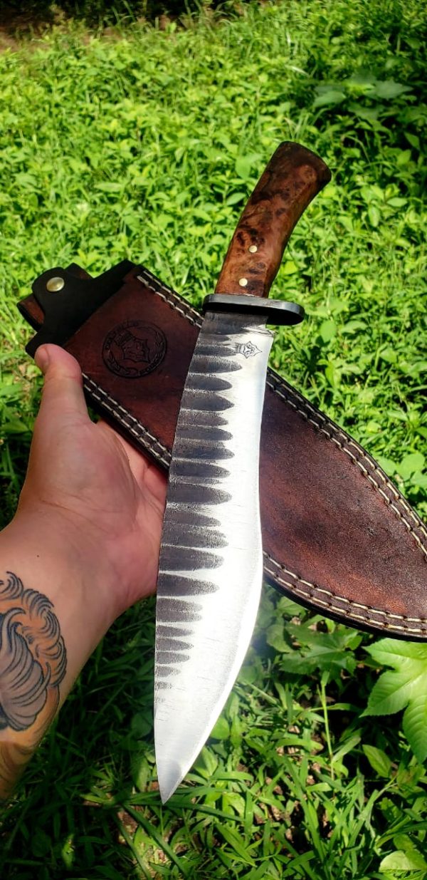 WhatsApp Image 2020-08-26 at 1.21.07 PM (2)