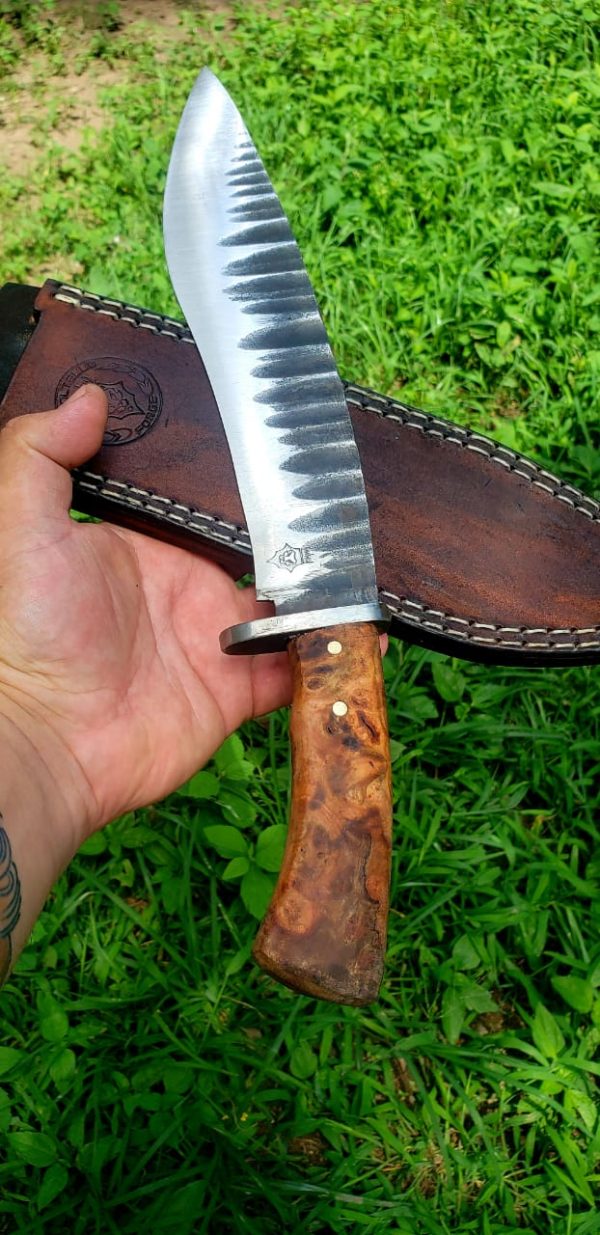 WhatsApp Image 2020-08-26 at 1.21.07 PM (3)