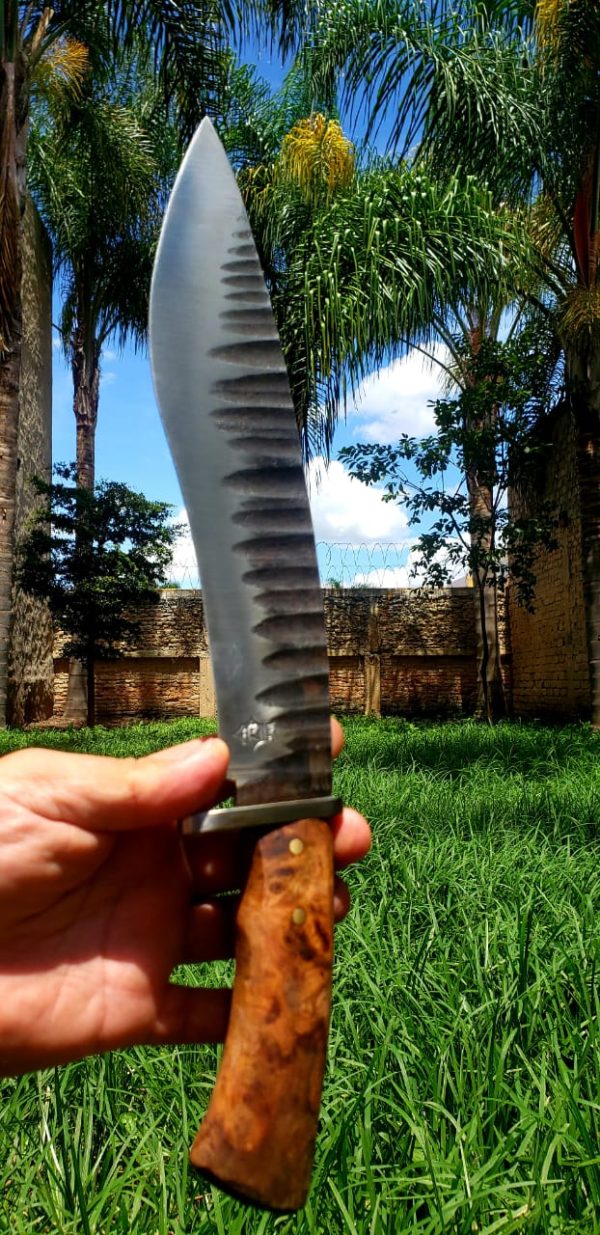 WhatsApp Image 2020-08-26 at 1.21.08 PM (1)