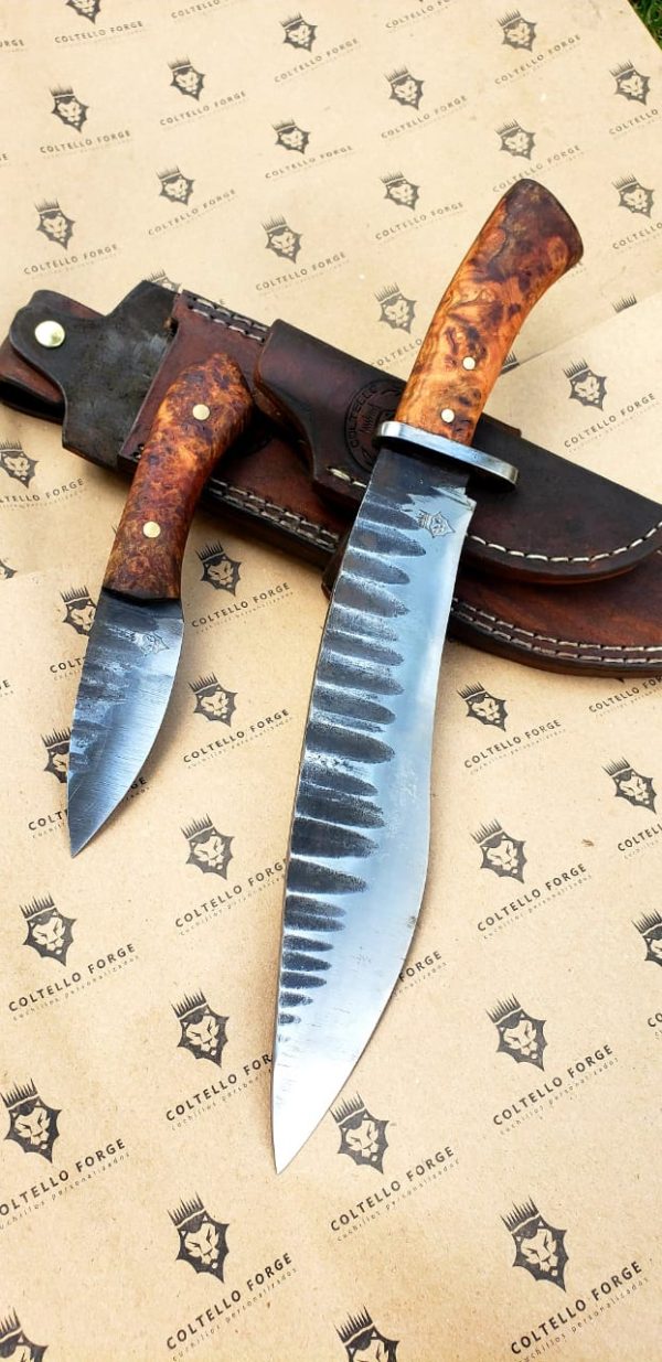 WhatsApp Image 2020-09-07 at 5.46.09 PM (1)