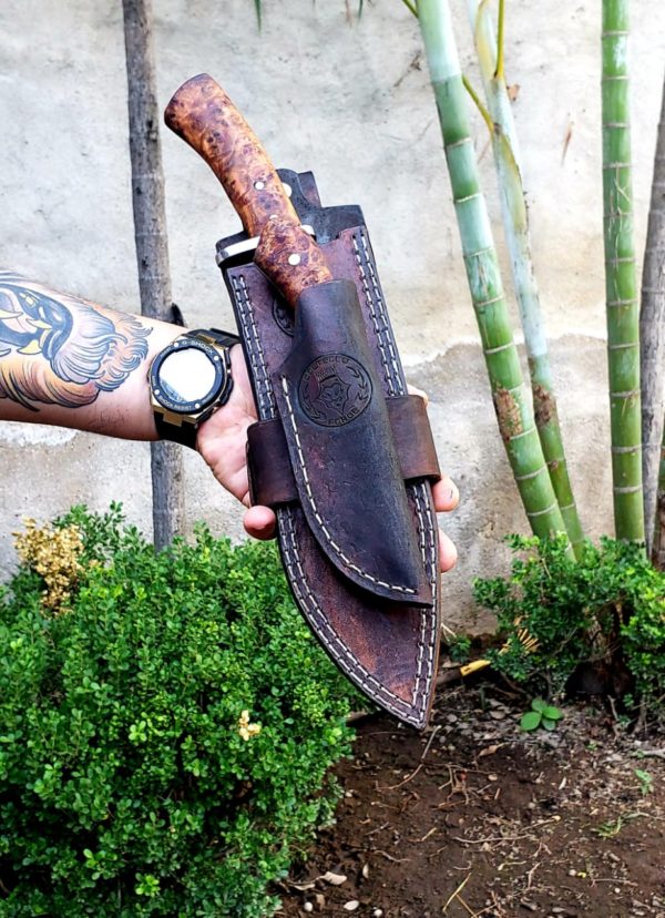 WhatsApp Image 2020-09-07 at 5.46.09 PM