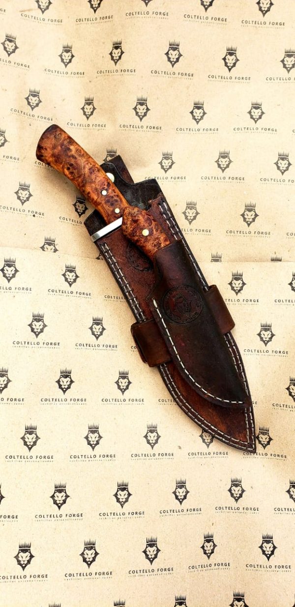 WhatsApp Image 2020-09-07 at 5.46.10 PM (2)