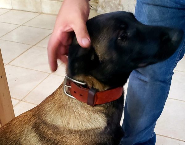 WhatsApp Image 2020-09-10 at 5.46.47 PM (2)