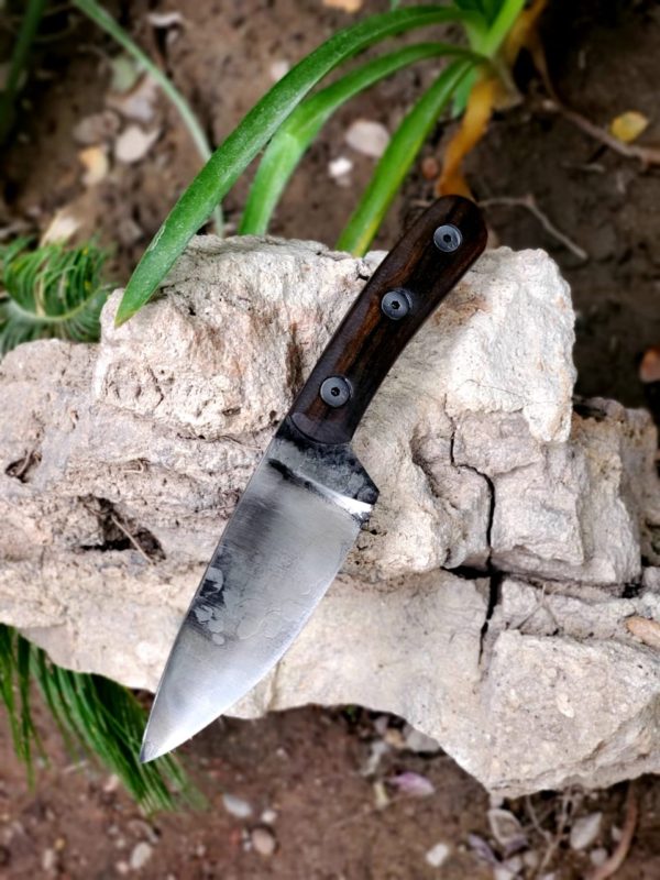 WhatsApp Image 2020-10-23 at 5.50.39 PM (1)