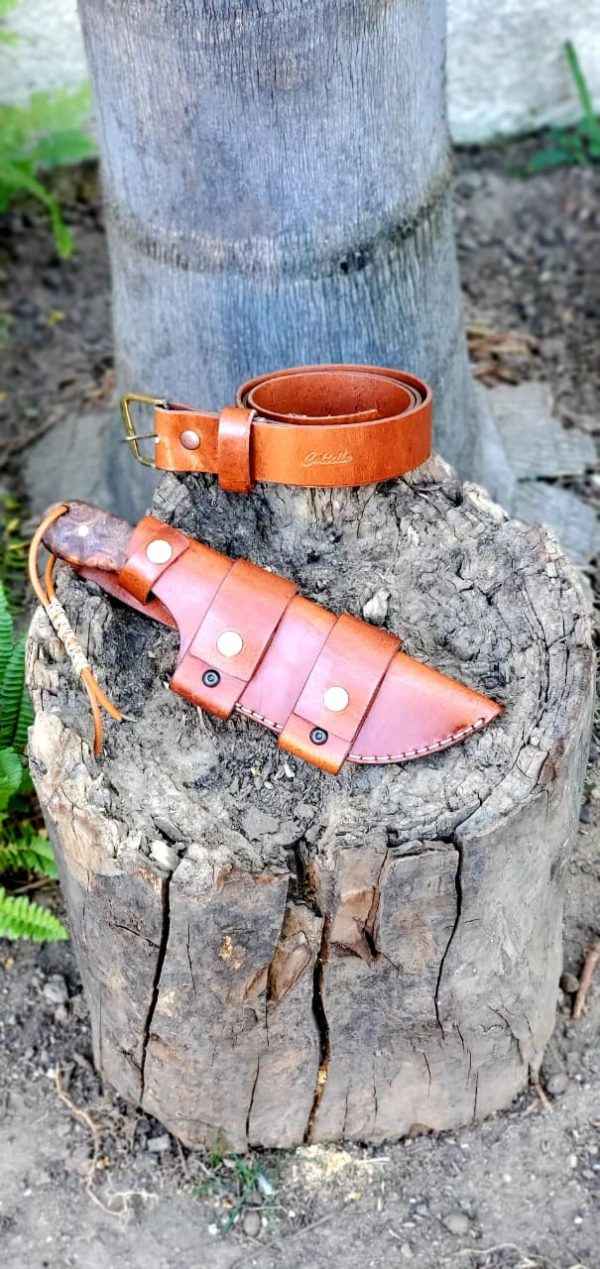 WhatsApp Image 2020-11-06 at 3.47.25 PM (2)