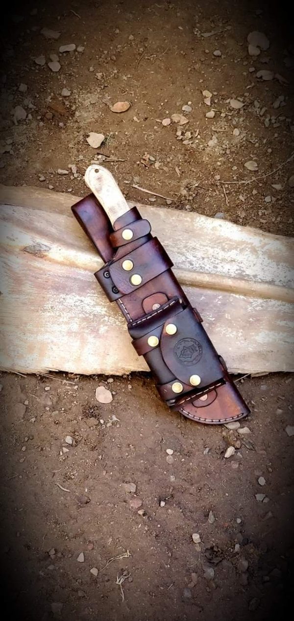 WhatsApp Image 2020-11-10 at 1.55.50 PM (1)