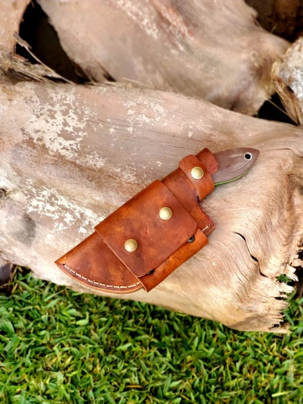 WhatsApp Image 2020-12-01 at 3.48.33 PM (1)