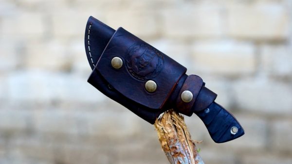 165532226_1431853173812704_4241084787109865573_o