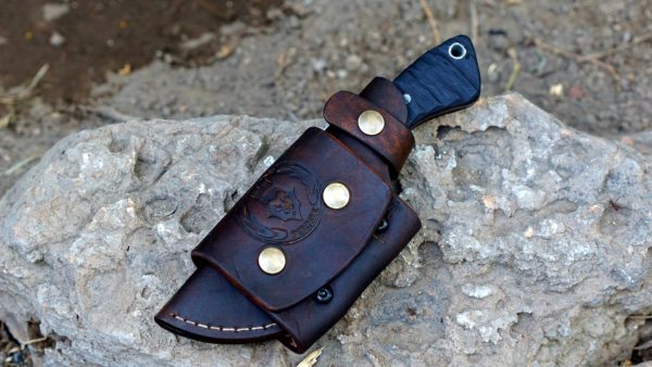 165571147_1431853223812699_614180196272718685_o