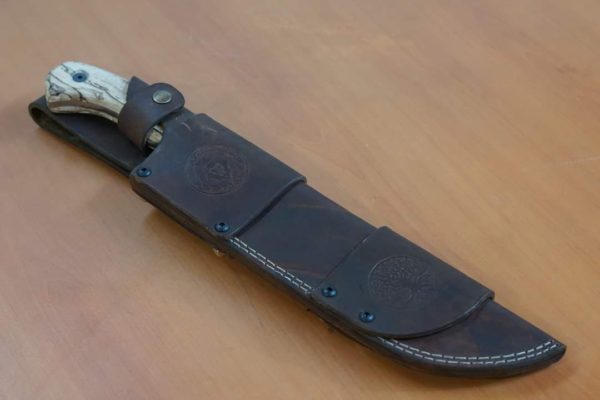 WhatsApp Image 2021-04-14 at 1.15.33 PM (1)