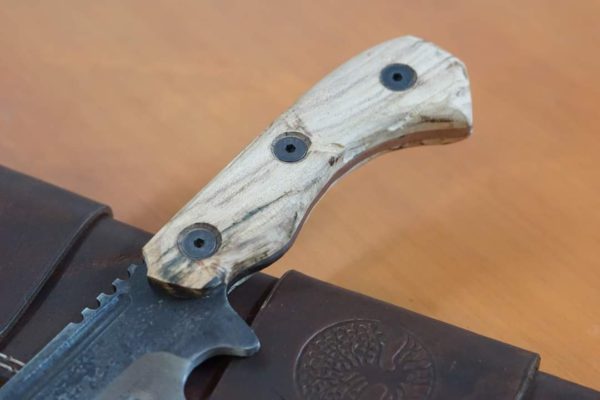 WhatsApp Image 2021-04-14 at 1.15.33 PM (2)