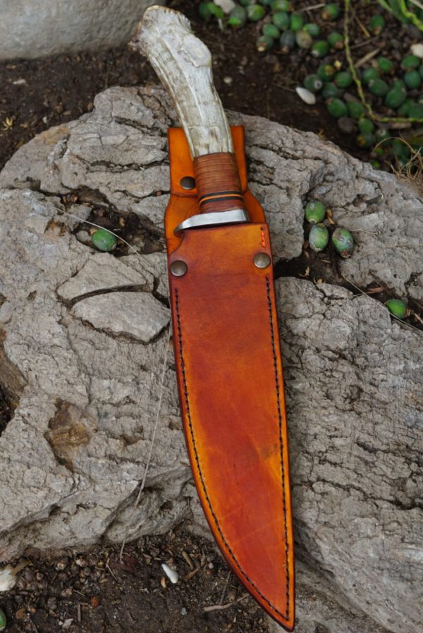 WhatsApp Image 2021-07-02 at 7.57.01 AM (5)